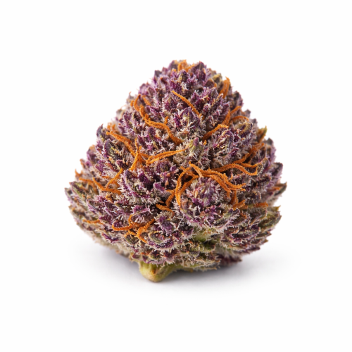 Redecan - Midnight Velvet