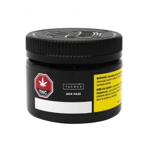 Jack Haze