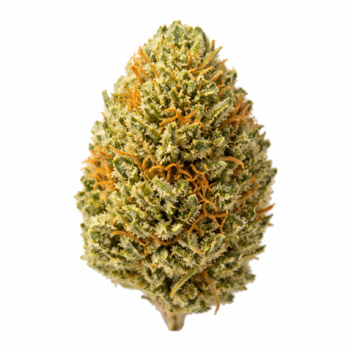 Pure Sunfarms - Golden Hour Kush