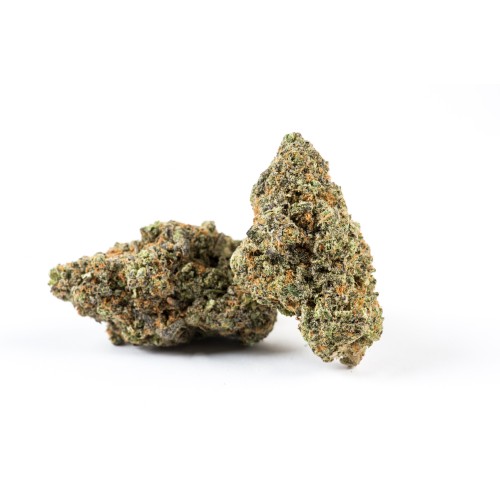 Redecan - Hello
