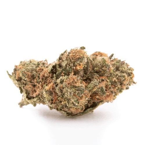 Shishkaberry image 2