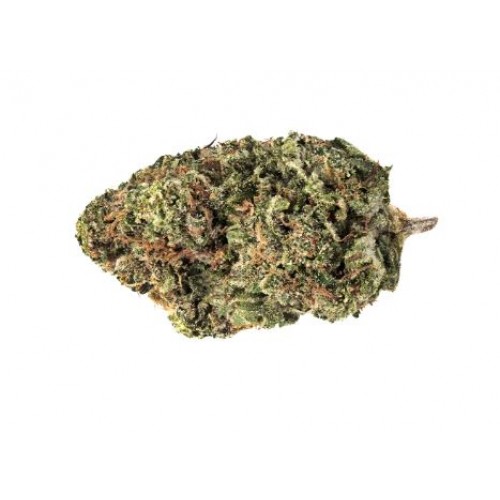 Jack Haze image 2