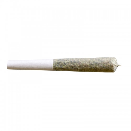 Spark Stix image 2