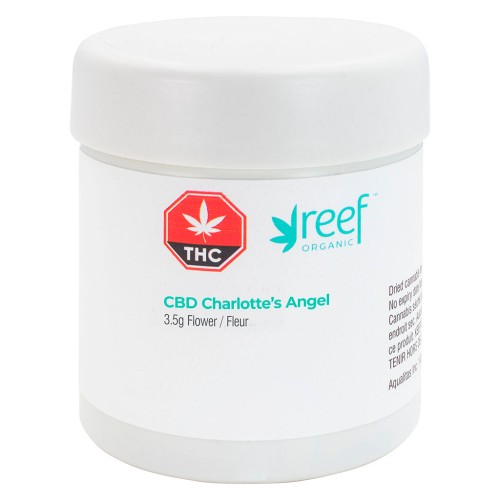 CBD Charlotte's Angel image 2