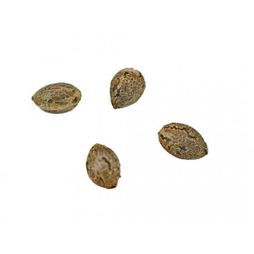 Weed Me - Skunk Va Seeds