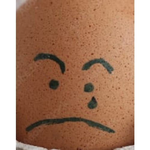 Sad Egg - Greenline Accessory