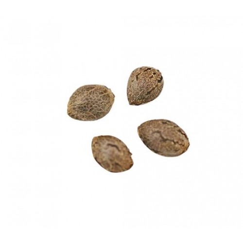 Weed Me - Twisted Grape