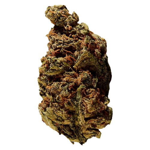 BC God Bud