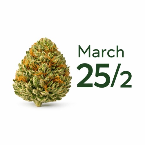 Twenty Fifth of March 2
