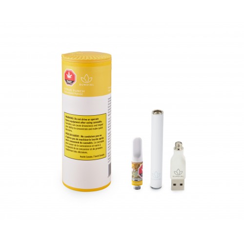 Citrus Punch Vape Starter Kit (0.5 g Cartridge)