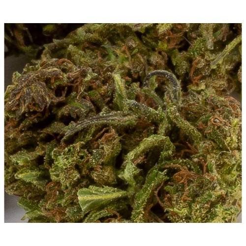 Francos Lemon Cheese image 3
