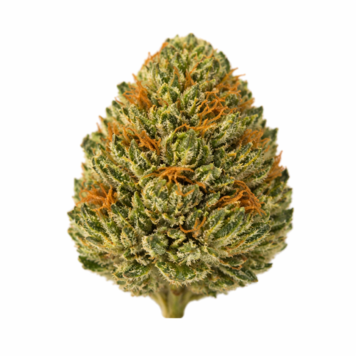 Redecan - Velvet Pine Reserve