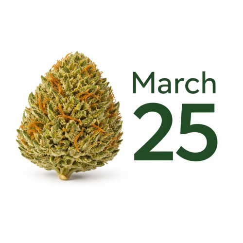 Twenty Fifth of March