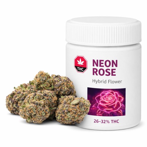Neon Rose